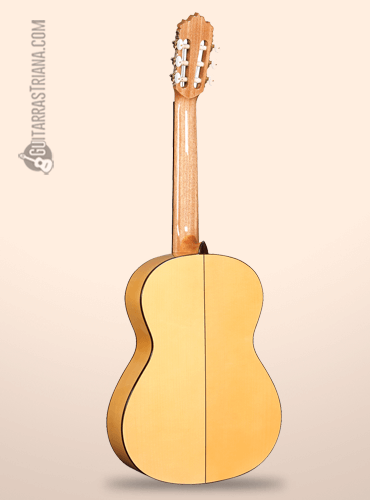 fondo de la guitarra flamenca alhambra 5f