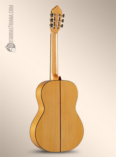 aros y fondo de la guitarra flamenca alhambra 10FC