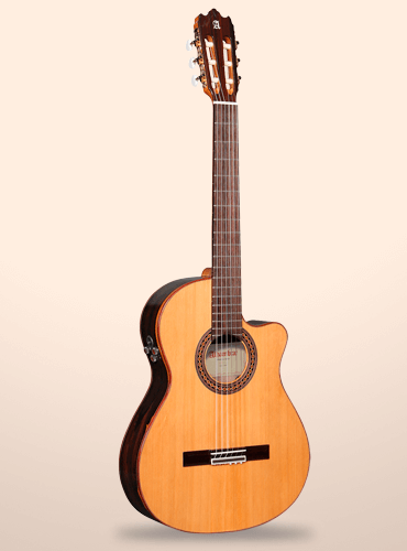 guitarra alhambra iberia ziricote ctw