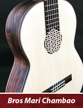 guitarra personalizada de famosos - Mari Chambao