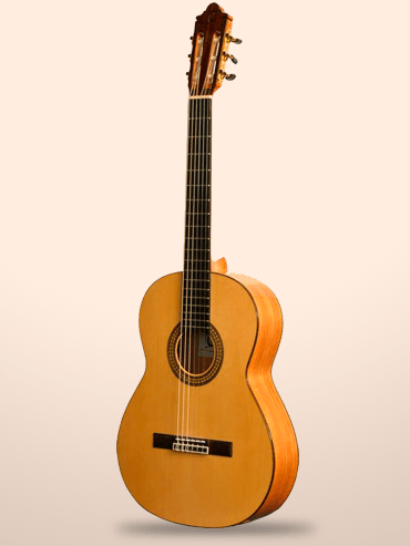 Guitarra Camps CE500