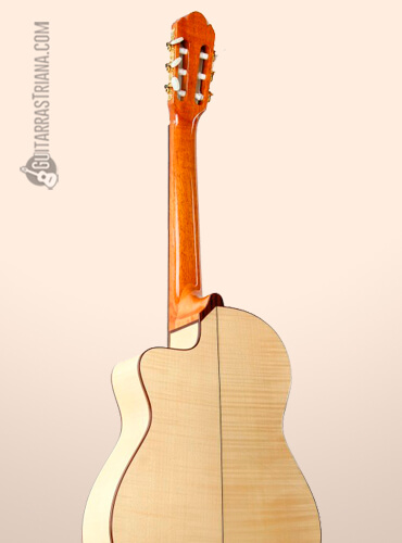 fondo-guitarra-raimundo-modelo-630e