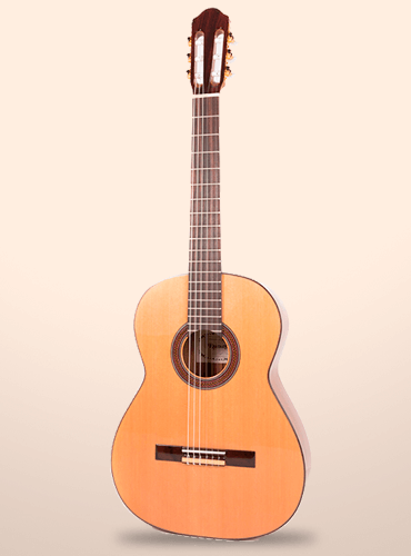 guitarra raimundo 120e