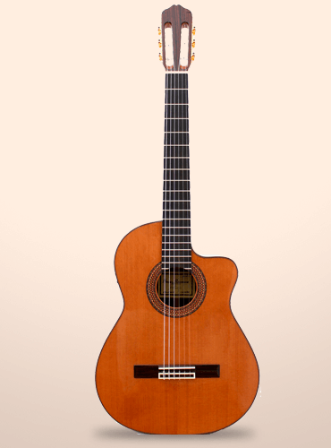 guitarra raimundo 660e