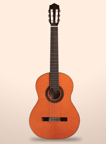 guitarra martínez mcg-128c