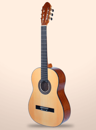 guitarra vicente tatay c320.202