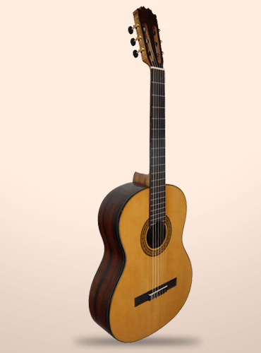 guitarra vicente tatay c320.204