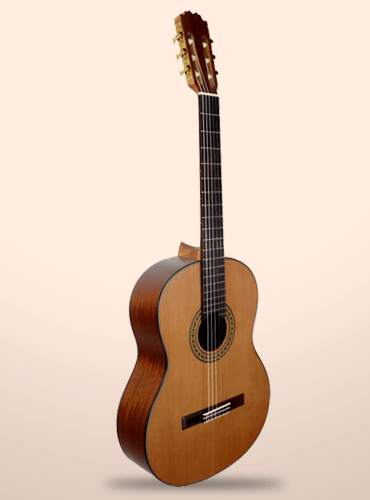 guitarra vicente tatay c320.205