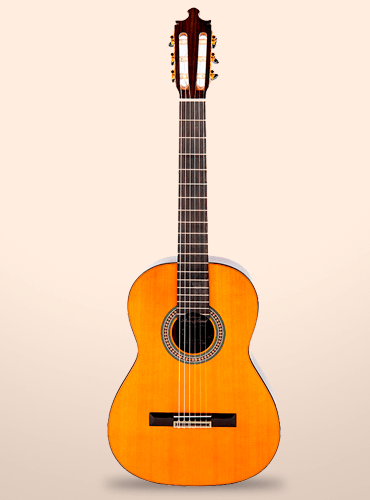 guitarra álvarez y bernal flamenca especial 5