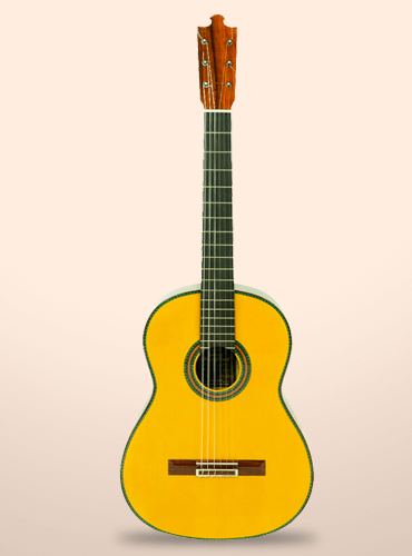 guitarra-alvarez-bernal-luthier-paoferro