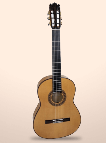 guitarra fernando caldera flamenco especial