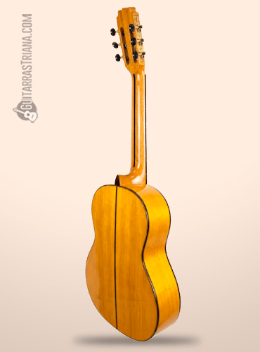 fondo-modesto-malla-manuela