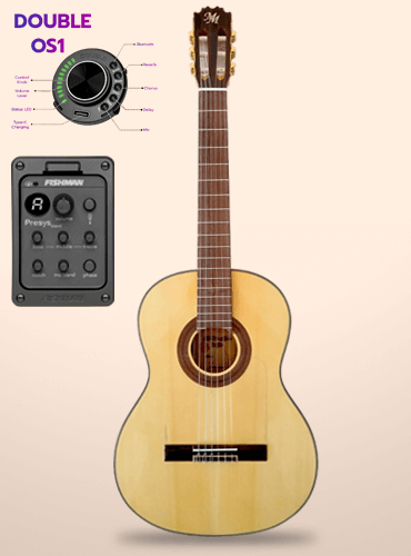 guitarra modesto malla f5