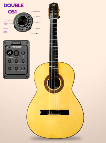 guitarra modesto malla f6