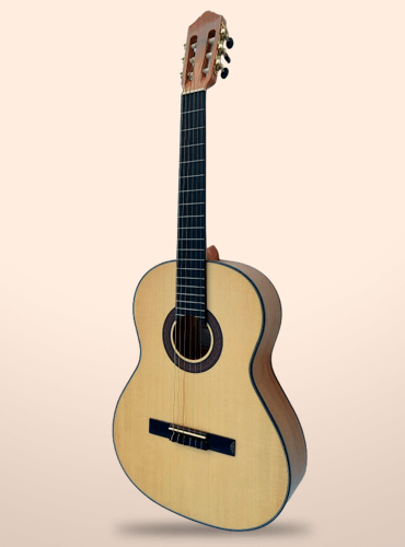 guitarra vicente tatay c320.201f