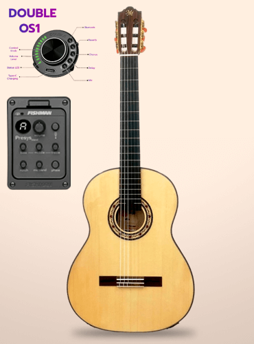 guitarra modesto malla mestiza