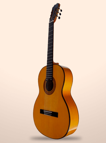 guitarra vicente tatay c320.595b