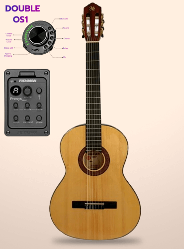 guitarra modesto malla c1