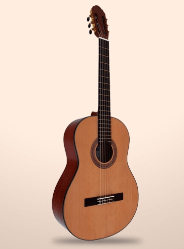 guitarra vicente tatay c320.302