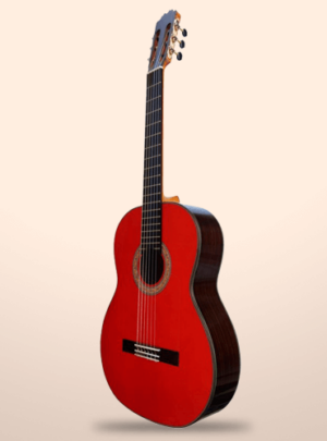 guitarra-martinez-mr5-300x405.png