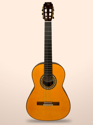 guitarra modesto malla camboria