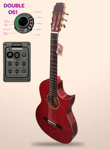 guitarra modesto malla flaca