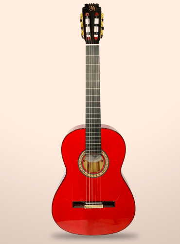 guitarra modesto malla piconera