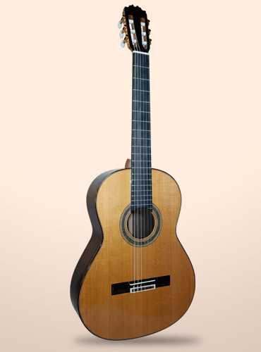 guitarra antonio de toledo y8-c